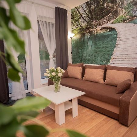 Apartamenty Goszowita Stronie Śląskie Exterior foto