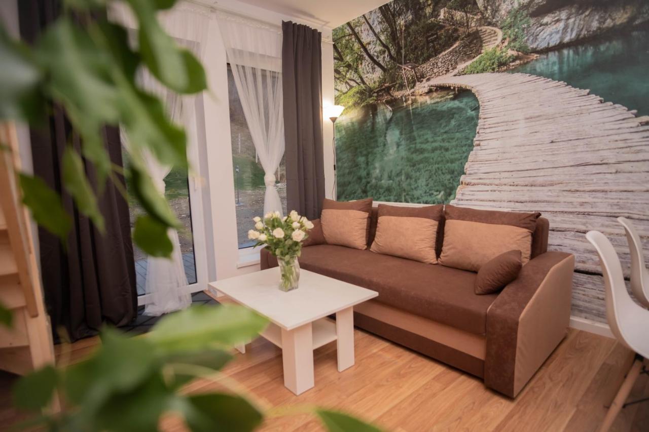 Apartamenty Goszowita Stronie Śląskie Exterior foto